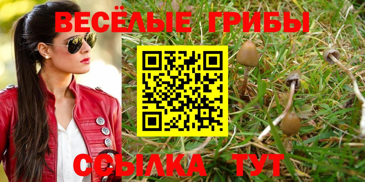Псилоцибиновые грибы ЛСД  Вход с VPN  Егорьевск 